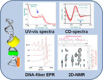 dna and complexes