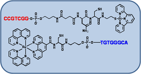 dna and complexes